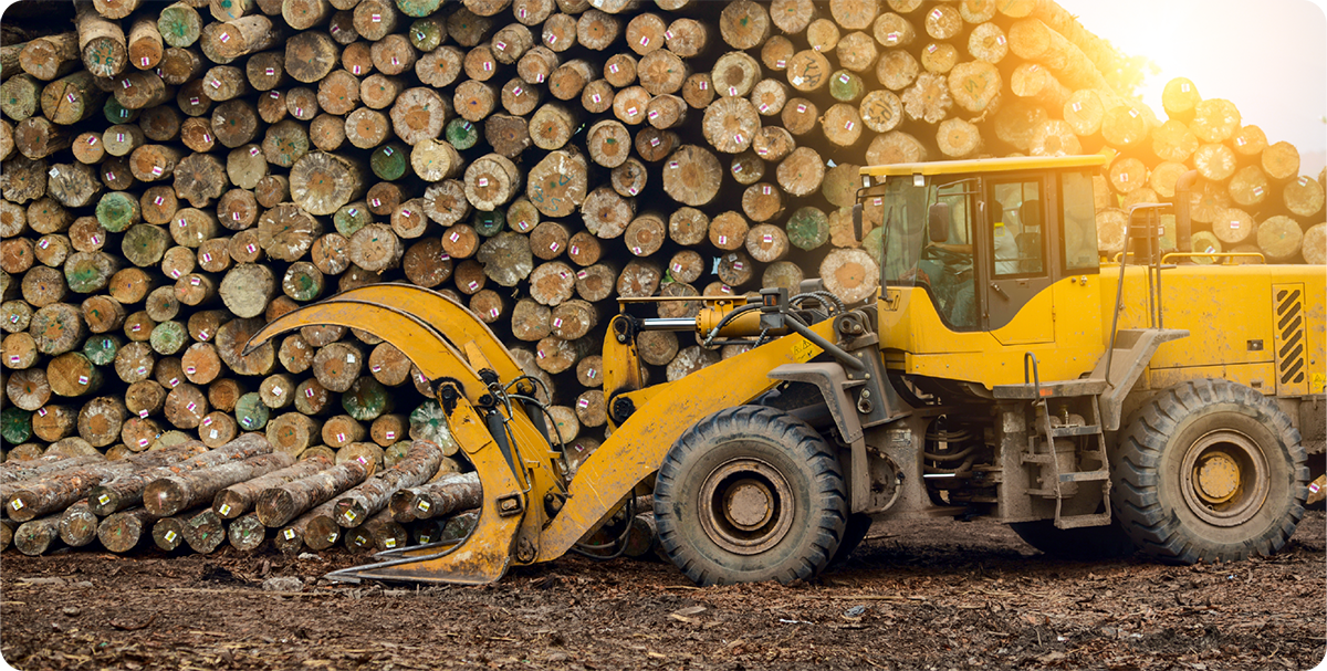 How IoT Is Changing the Wood Industry for Better