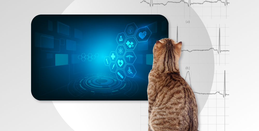 Benefits of Automation in Healthcare Qulix Systems