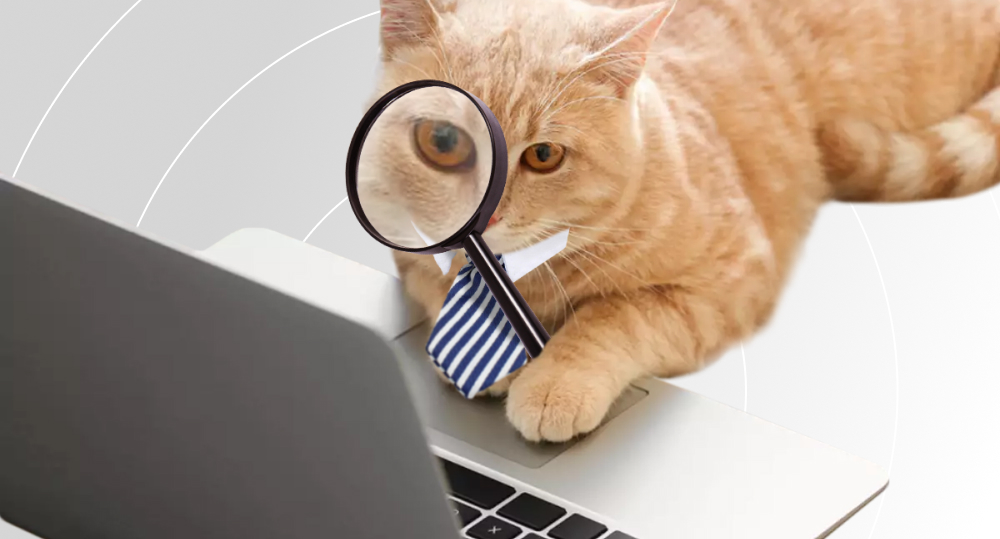 cat reviewing code