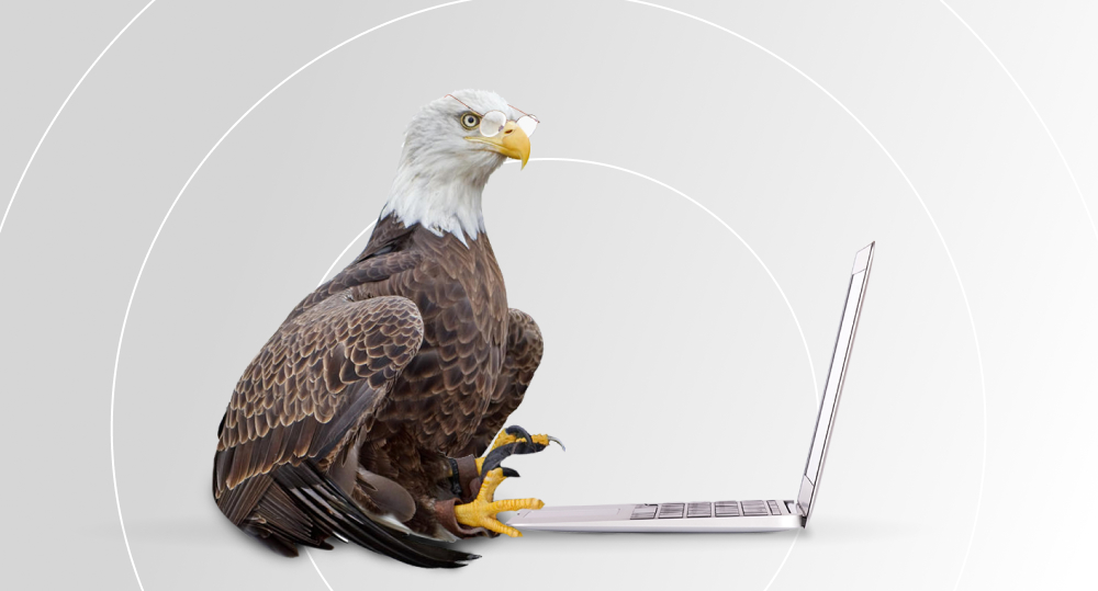 eagle looking for largest software companies
