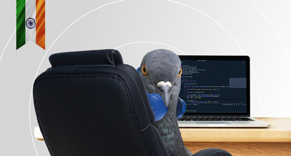 pigeon is coding in JavaScript and listening to music
