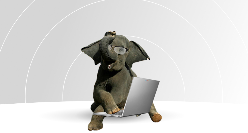 elephant is happy with code review