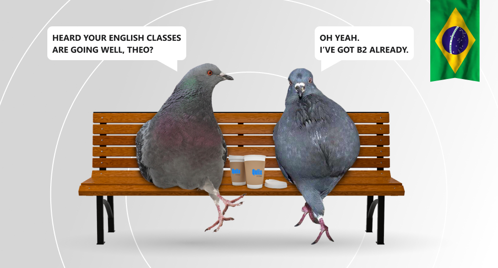 pigeons sit on bench and discuss knowledge of English