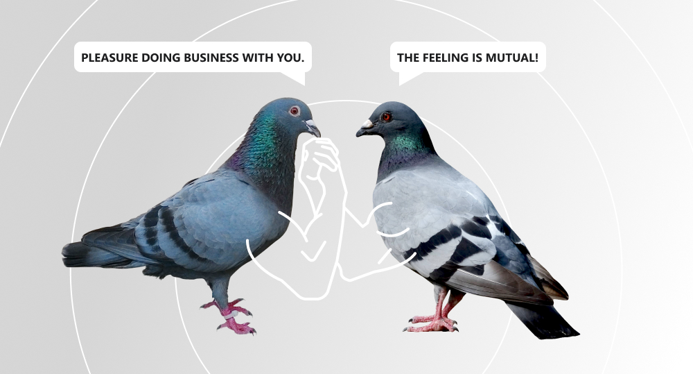 pigeons are shaking hands as business partners