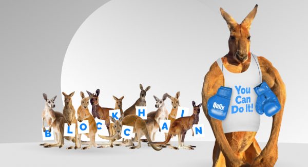 Muscular kangaroo standing in "You can do it!" T-shirt with blue boxing gloves around his neck promises the reader that they can afford the cost to hire a blockchain developer. Behind them are kangaroos with signs saying "blockchain"