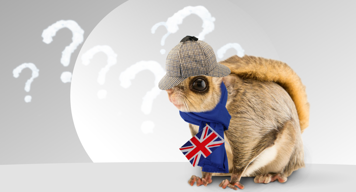 Flying squirrel in Sherlock Holmes scarf and cap holds the British flag in its paw and thinks about the cost of setting up a website (UK).