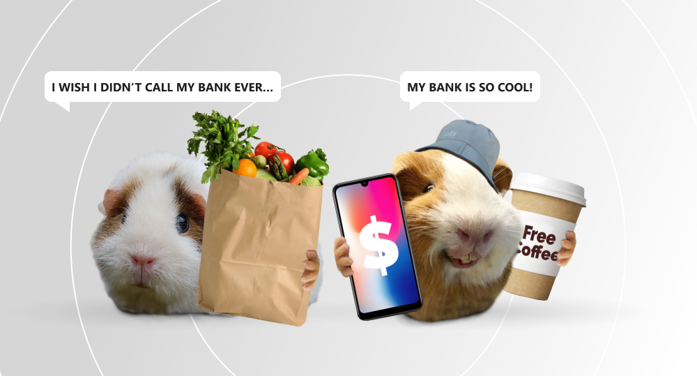 hamsters comparing banking experience