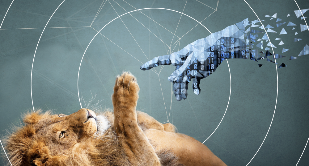  Lion extends its paw towards digital human hand.