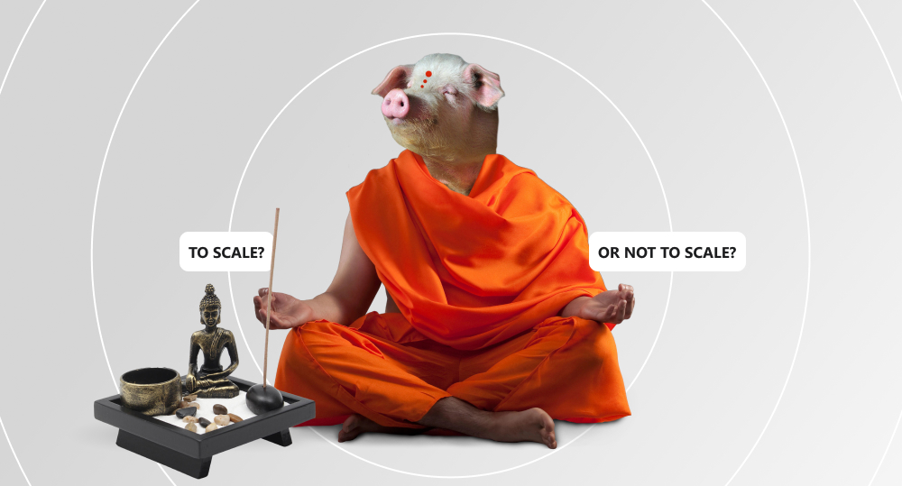 A pink pig sitting in lotus pose in an orange Indian robe near Indian incense with the text "to scale?" on left side and the text "or not to scale?" on the right side