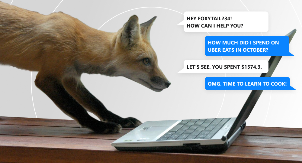 Fox staring at laptop screen and texting with a bank chatbot