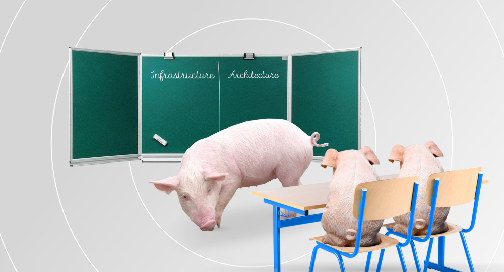 A big teacher pig staying behind a chalkboard with the words infrastructure and architecture written on it and two little piglets sitting at a desk looking at the chalkboard
