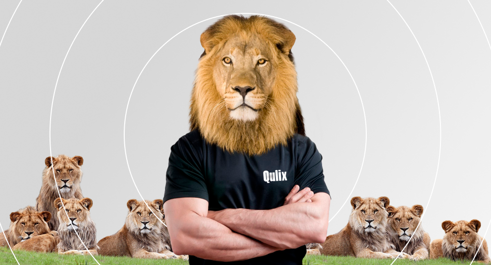 Lion in T-shirt with Qulix logo is standing with its paws crossed on chest in front of other lions.