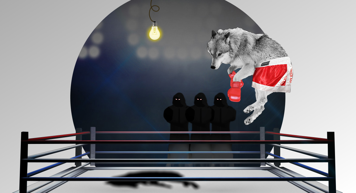 Boxer wolf is in boxing ring and is preparing to fight three challenges of fintech development outsourcing.