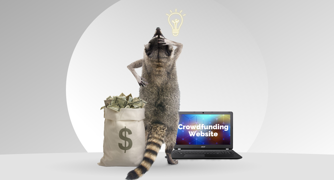 Raccoon standing between a bag of money and a laptop and wondering "how much does it cost to start a crowdfunding website?"