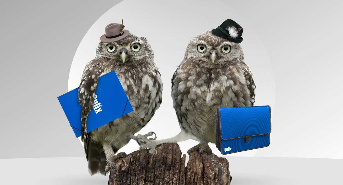 Two owls wearing hats with feathers and handshaking after reaching agreement to outsource Angular development