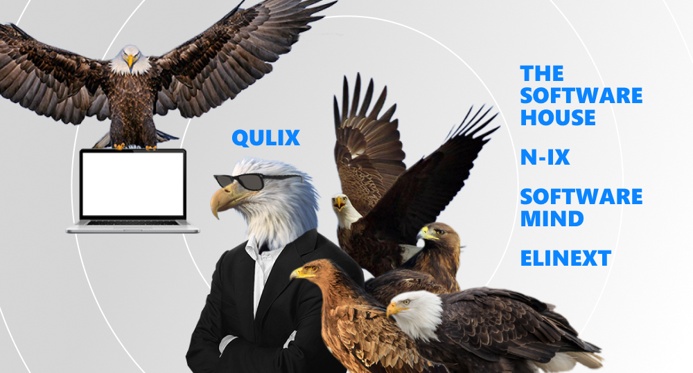 Eagle flying with laptop in its paws with other eagles looking at it and illustrating IT companies