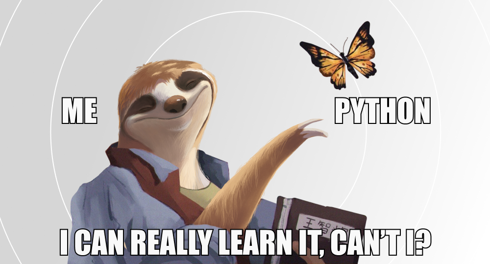 Sloth with open mouth looks at butterfly and wonders if he can learn Python.