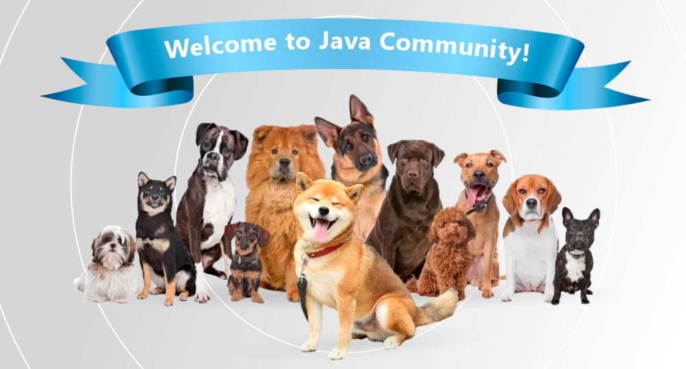 Group of dogs welcoming reader to friendly Java community