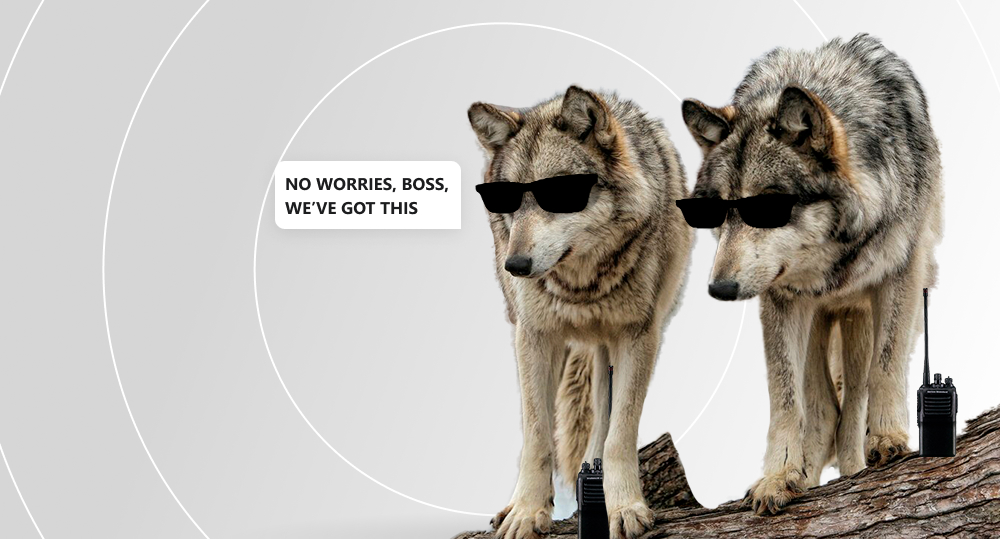 Wolves in sunglasses and with walkie-talkies report to the boss that everything is under control.