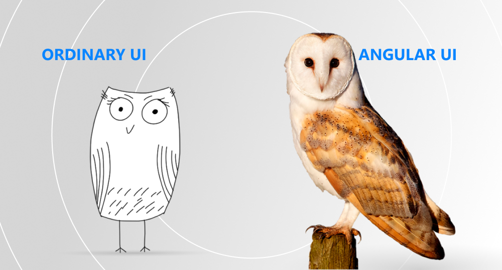 Drawing of owl with the text "Ordinary UI" and image of real own with the text "Angular UI"