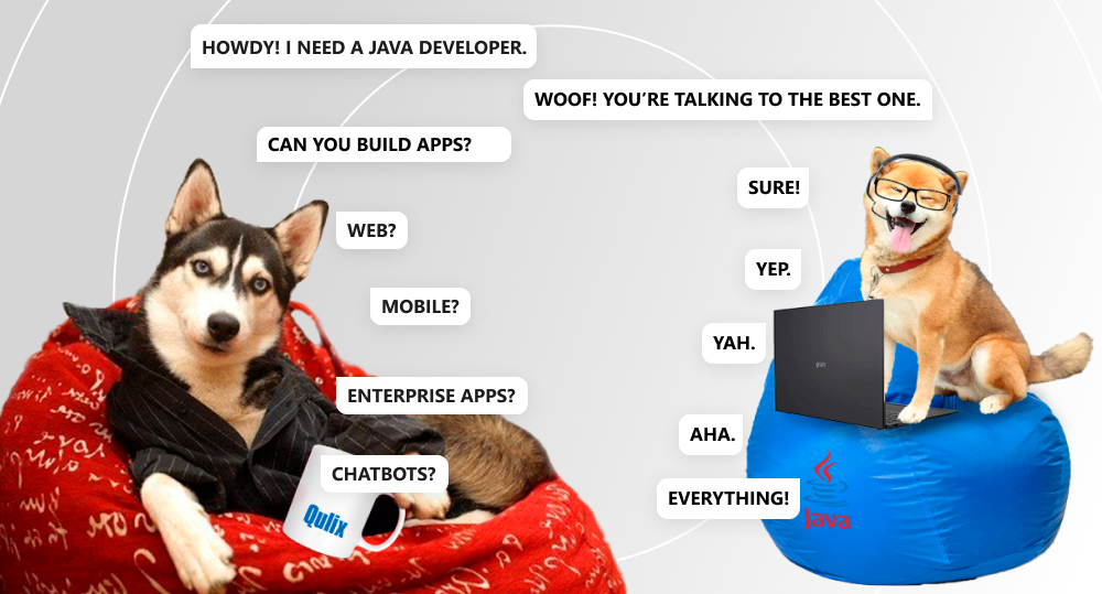 Two dogs chatting about hiring Java developer and their professional skills