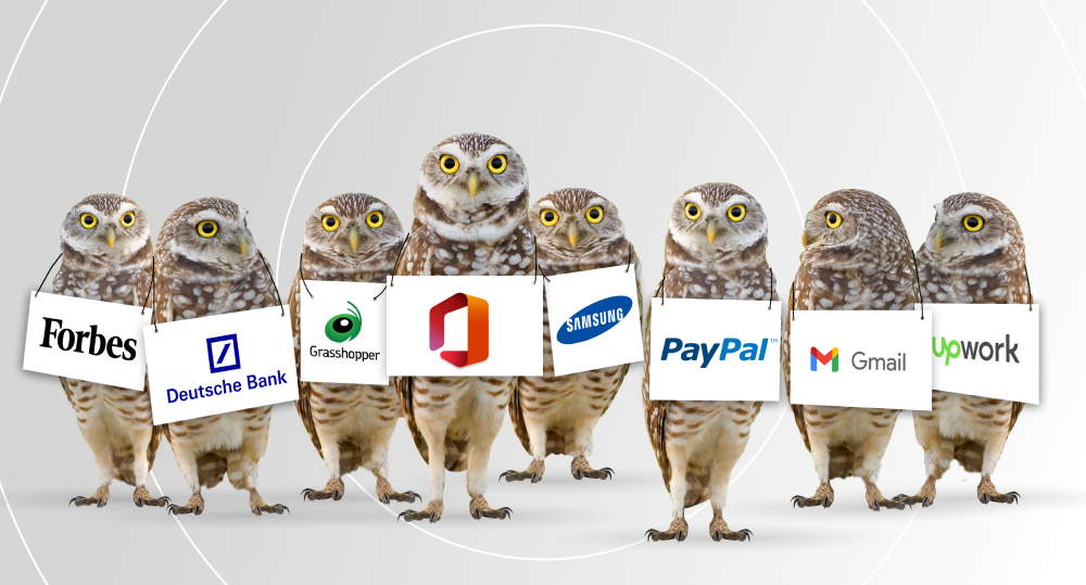 Owls standing with signs showing logos of famous companies