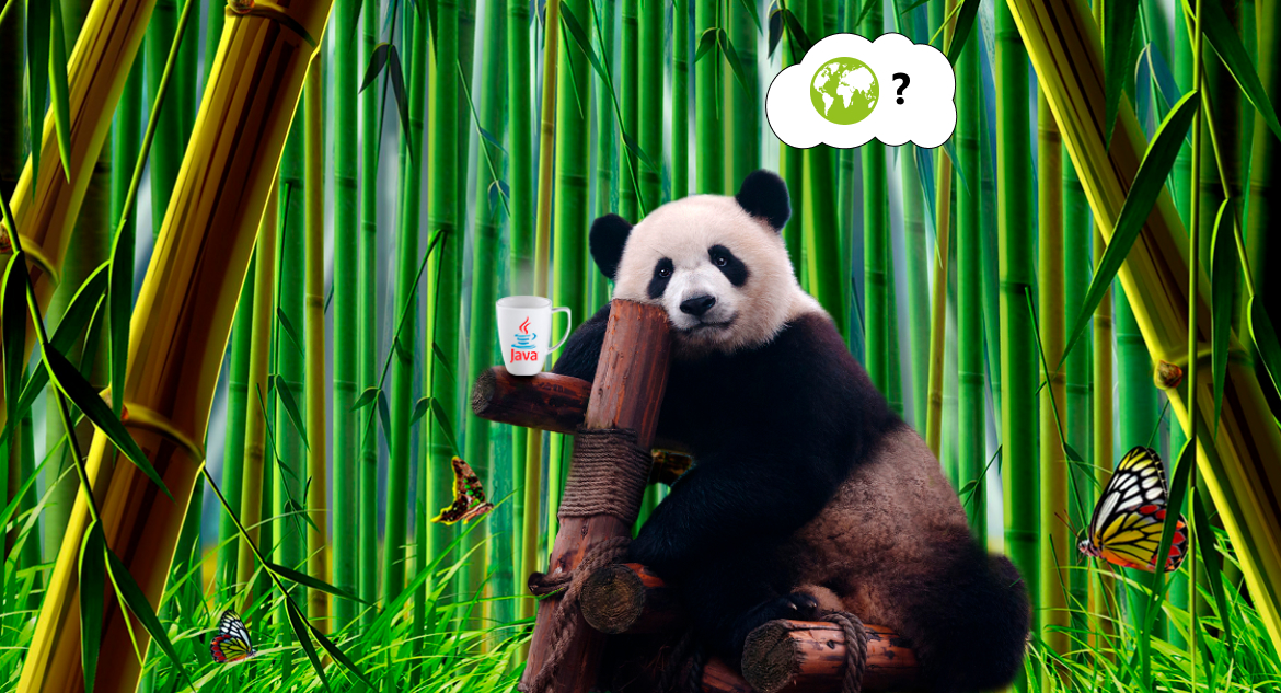 Panda sitting in a bamboo forest with mug with Java logo and thinking about offshore Java development