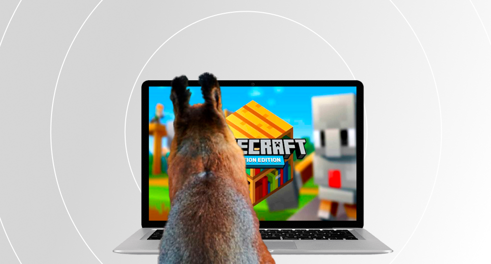 Squirrel playing Minecraft Education Edition on laptop