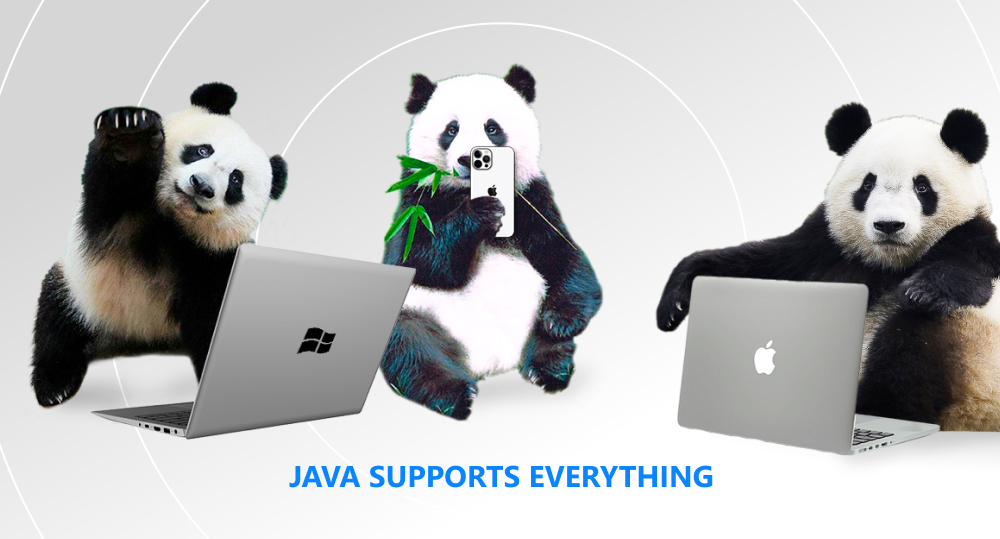 Panda with Windows laptop, panda with iPhone, panda with MacBook laptop with text Java supports everything