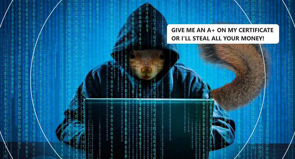Squirrel cybercriminal threatening school leaders that it's going to hack school IT resources and steal money