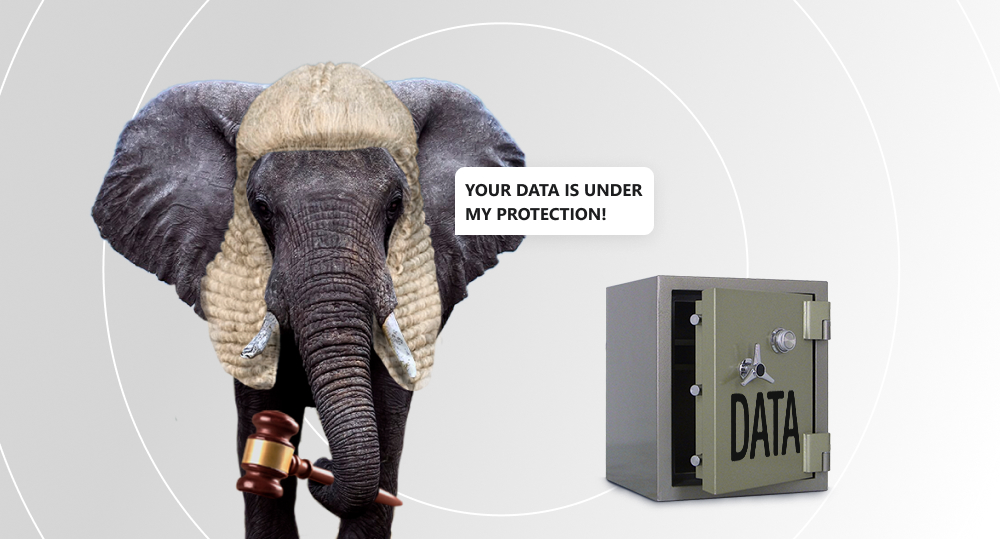 Elephant in white wig of judge holds judicial gavel in its trunk and protects data stored in safe.