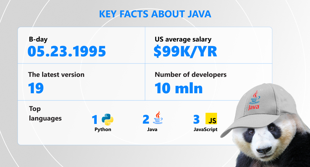 Infographics of key facts about java programming language