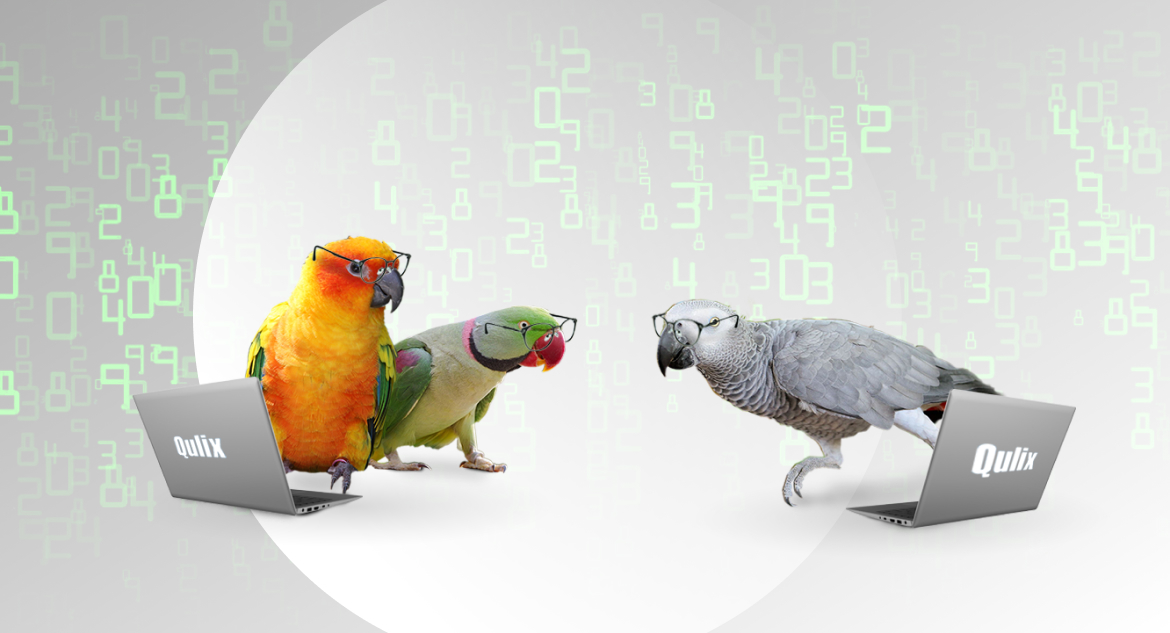Three parrots in eyeglasses stand in a row in front of laptops with Qulix logo and think about how to outsource .Net development.