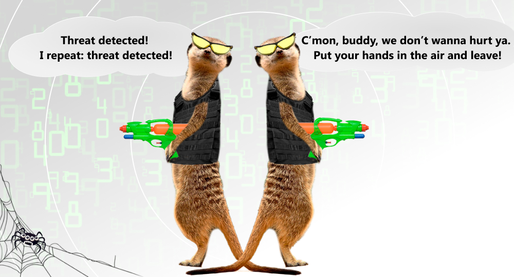 Meerkats with water pistols stand back to back and talk about cybersecurity.