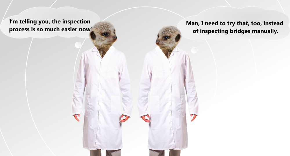 Meerkats in white coats are discussing benefits of inspection powered by machine learning.