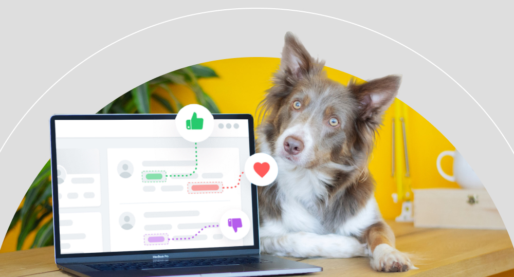 Dog lying next to laptop with program for sentiment analysis open