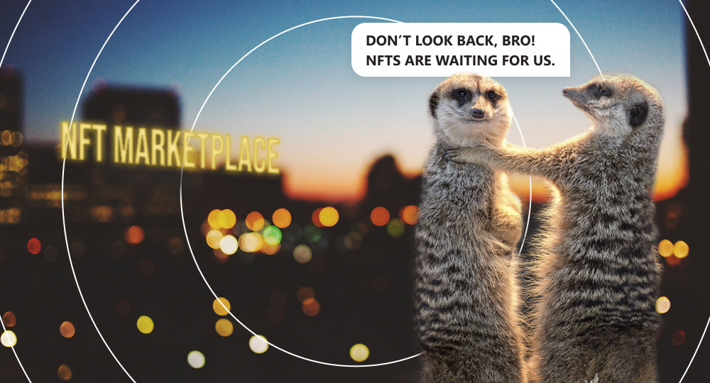 Two meerkats standing in front of a night city, one of them saying NFTs are waiting for them and no need to look back