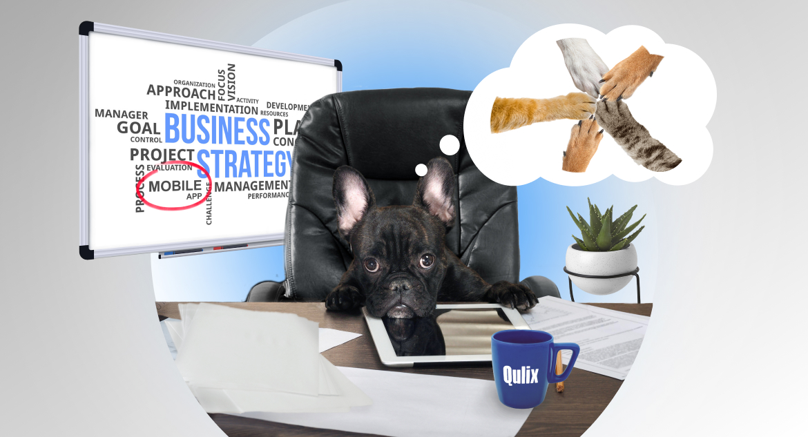 black dog sitting in chair and planning to hire dedicated mobile developers