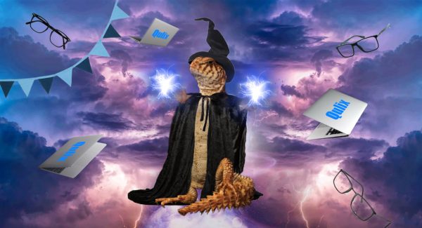 Wizard lizard thinking about hiring a dedicated development team