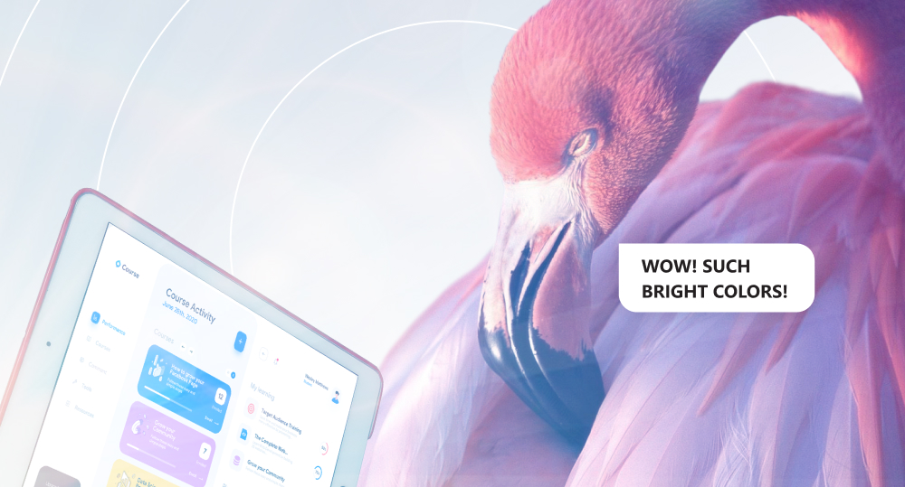 Flamingo looking into tablet and being blinded by bright colors of open app
