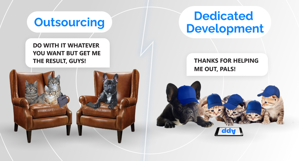 cats and dogs explain the difference between outsourcing and dedicated development