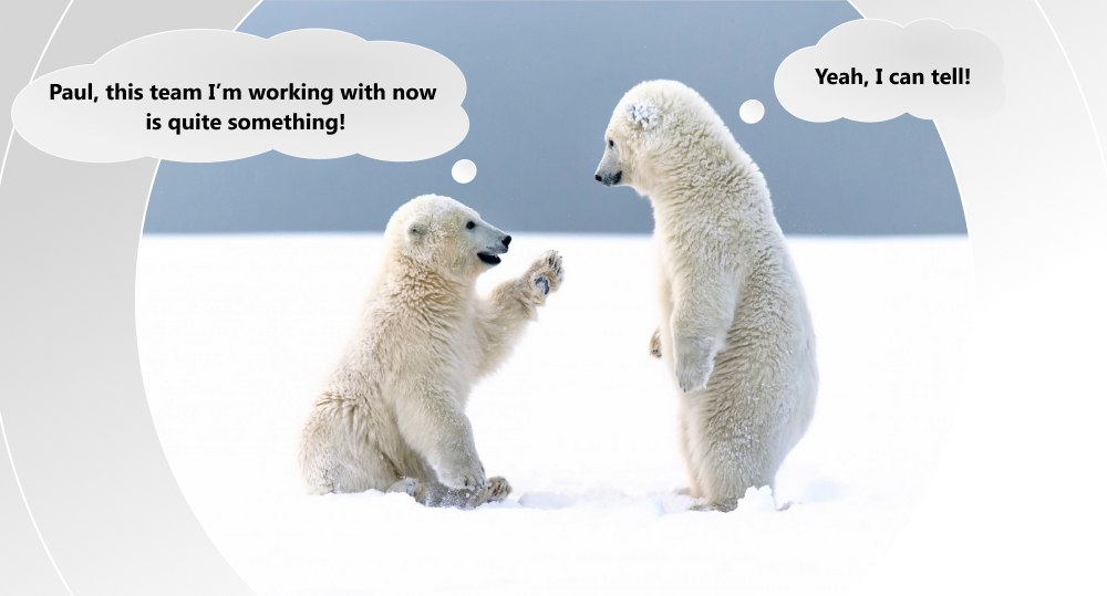 Two polar bears talk about development teams.
