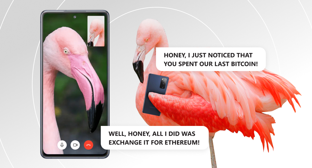 Two flamingos having video call and discussing money and cryptocurrency matters