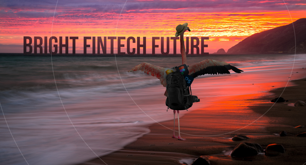 Flamingo heading toward sunset illustrating bright future for fintech industry