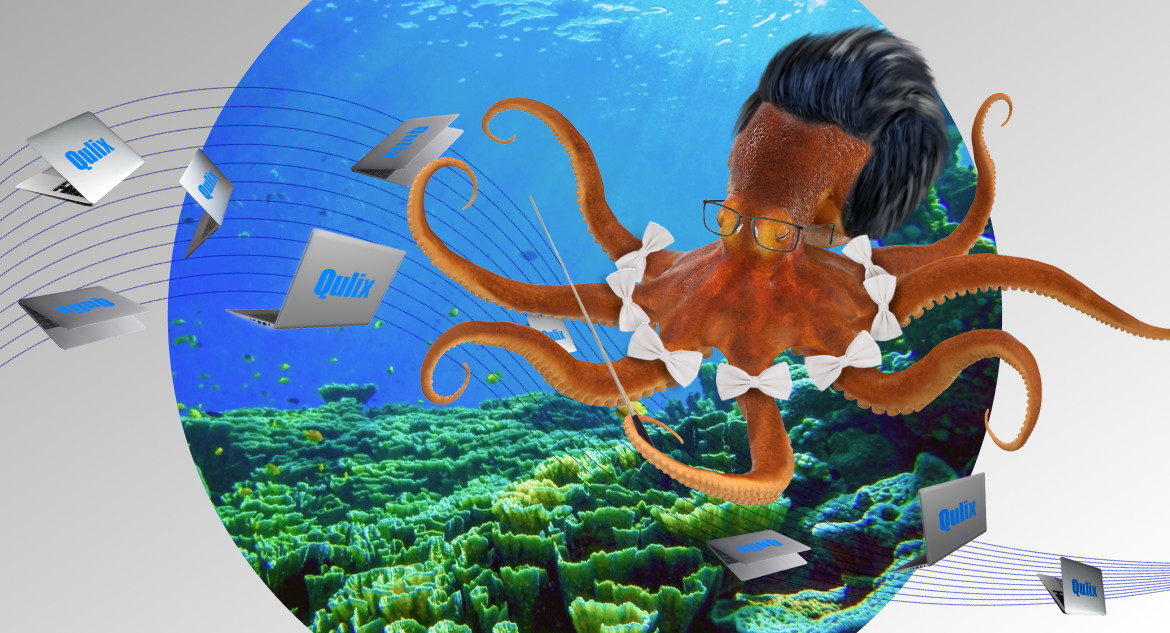 Octopus looks like orchestra conductor and encourages readers to hire dedicated dot net developers.