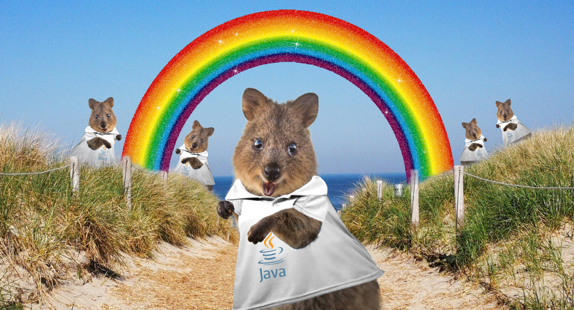 Quokkas chill on beach and help you hire dedicated Java developers.