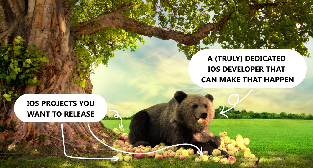 Bear eats apples.