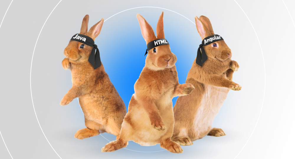 three bunnies with black headbands with words "java, html and angular" on them