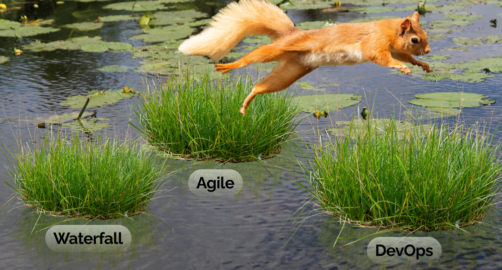 squirrel jumping over hillocks from agile to devops