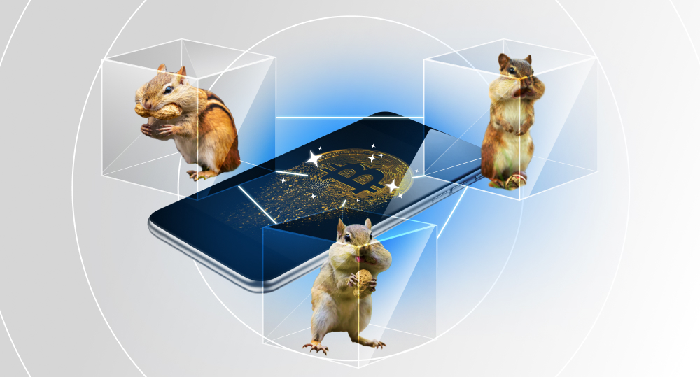 three chipmunks stuffing nuts in their cheeks inside of connected blockchain cubes